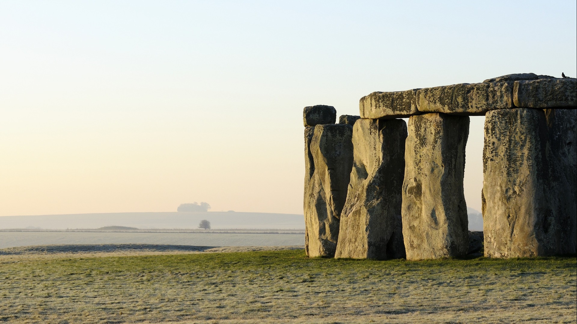 Stonehenge Day Tours from London
