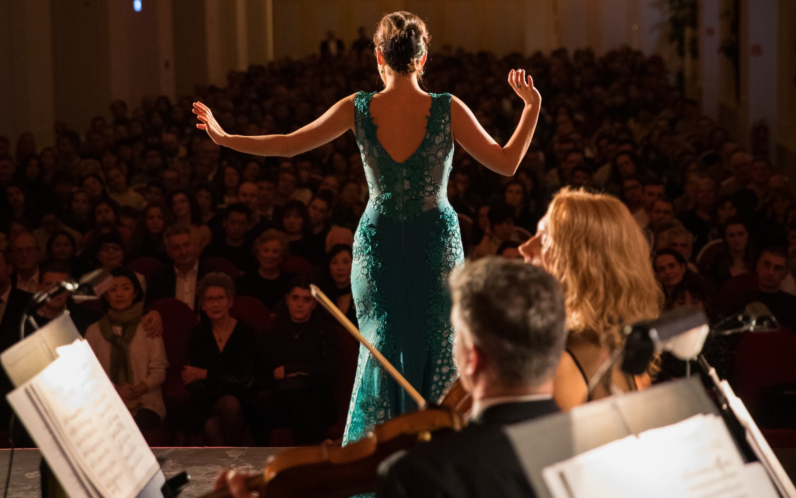 Schonbrunn Palace Concert and Austrian Dinner