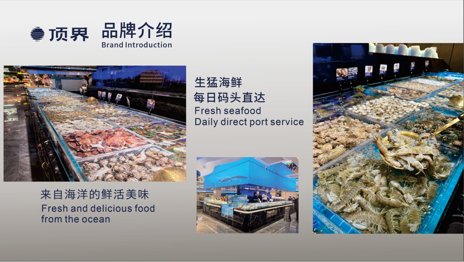 Summit Buffet Dinner Information Reference