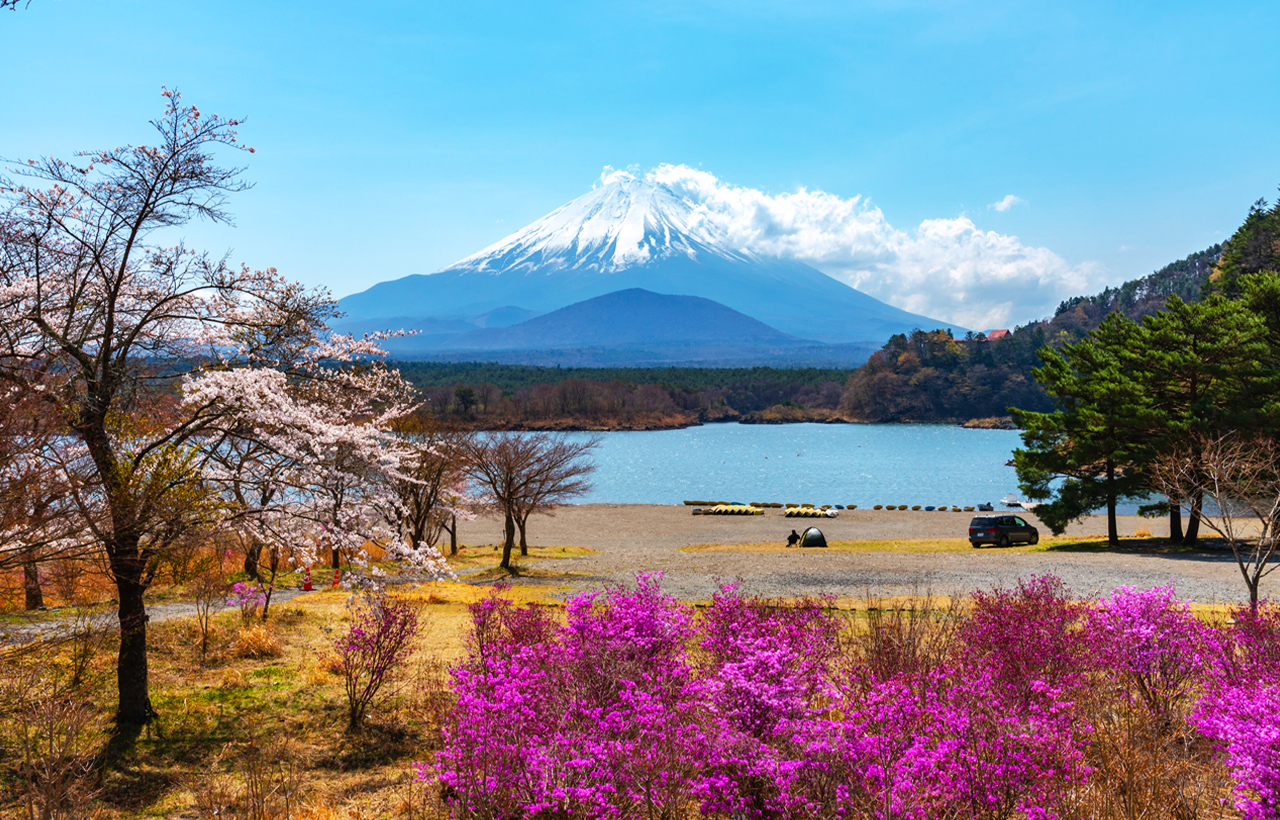 富士山三湖｜河口湖·山中湖·精進湖“抱子富士”一日遊｜東京/新宿出發