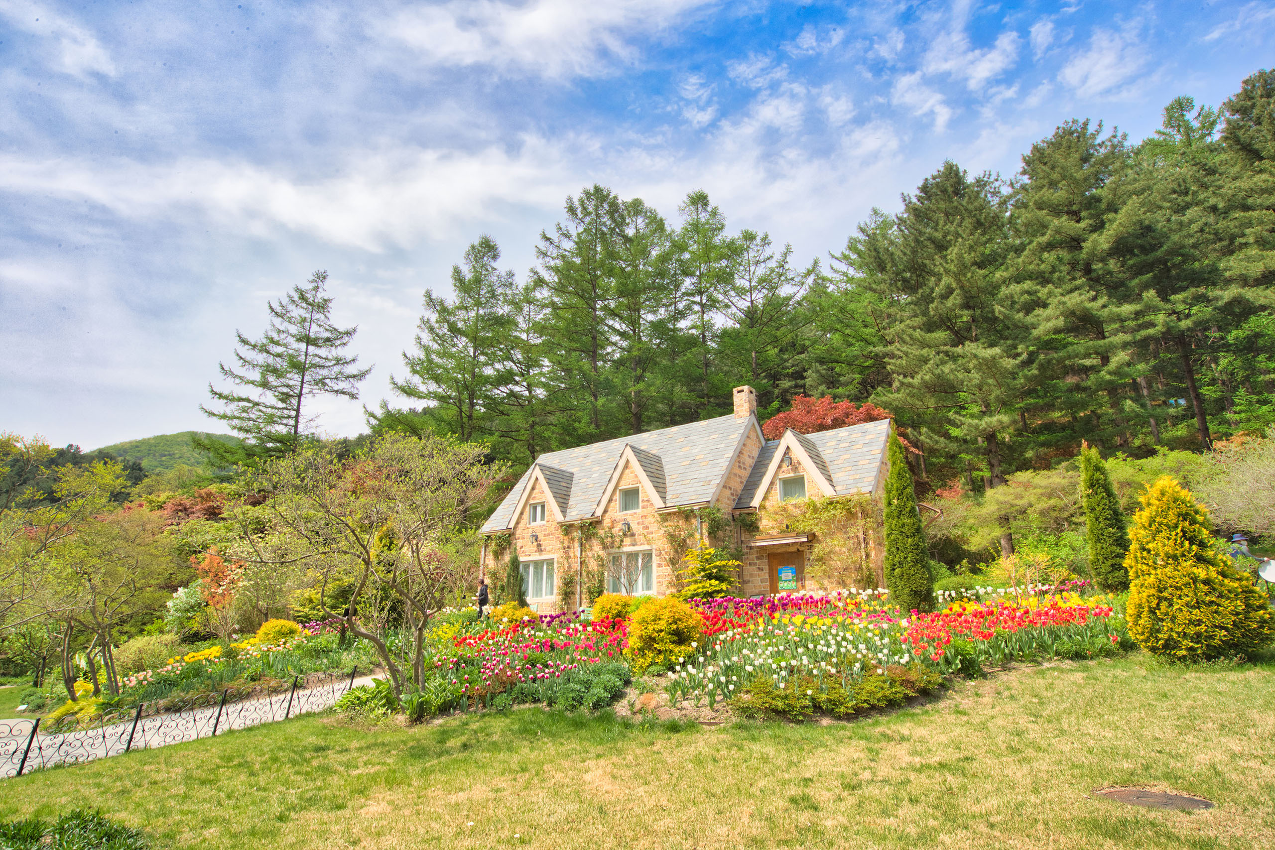 漫步於韓國最美的私人花園之一，欣賞大自然生機盎然的景象。