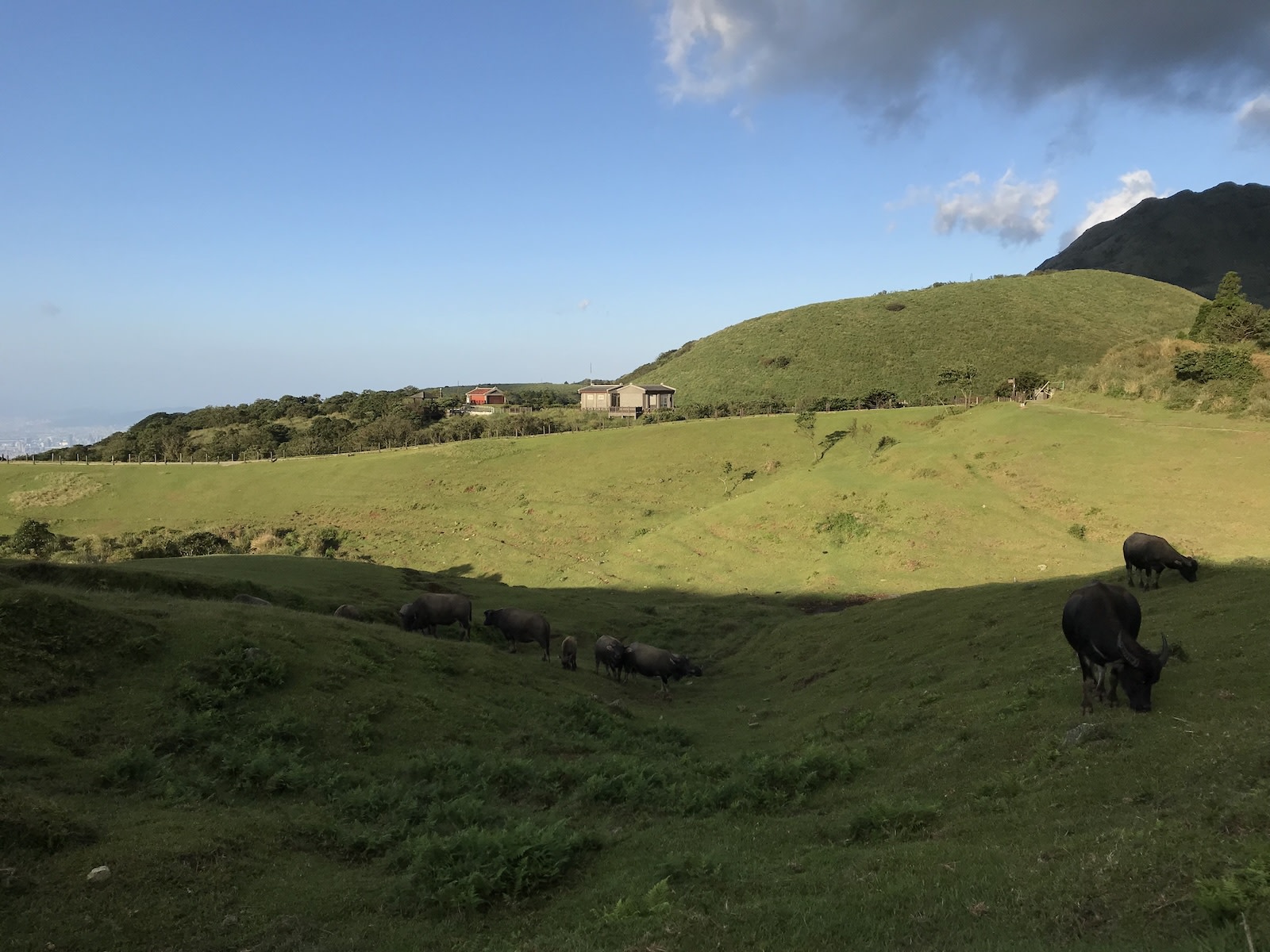 Yangmingshan National Park