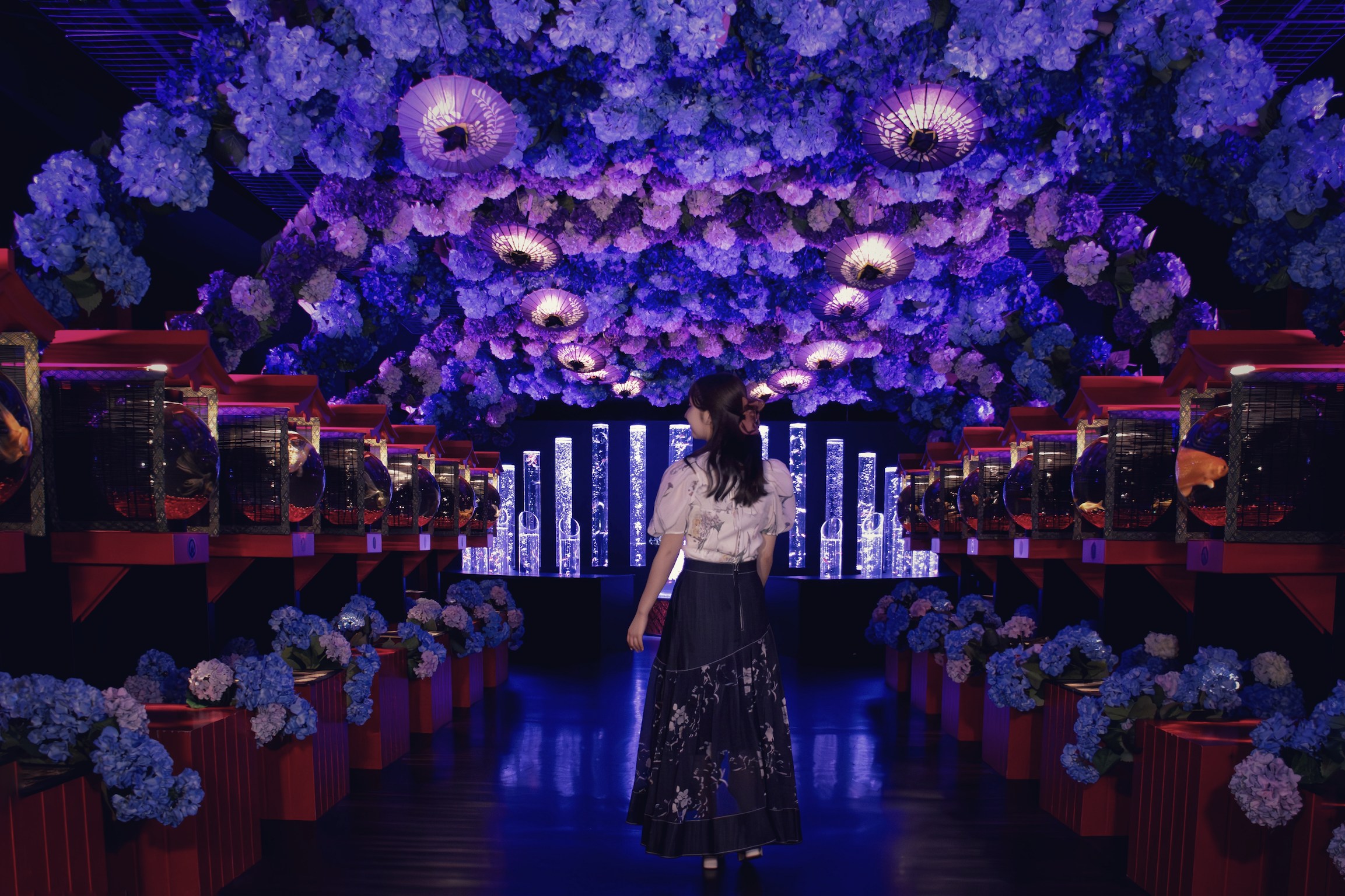 東京銀座藝術水族館門票