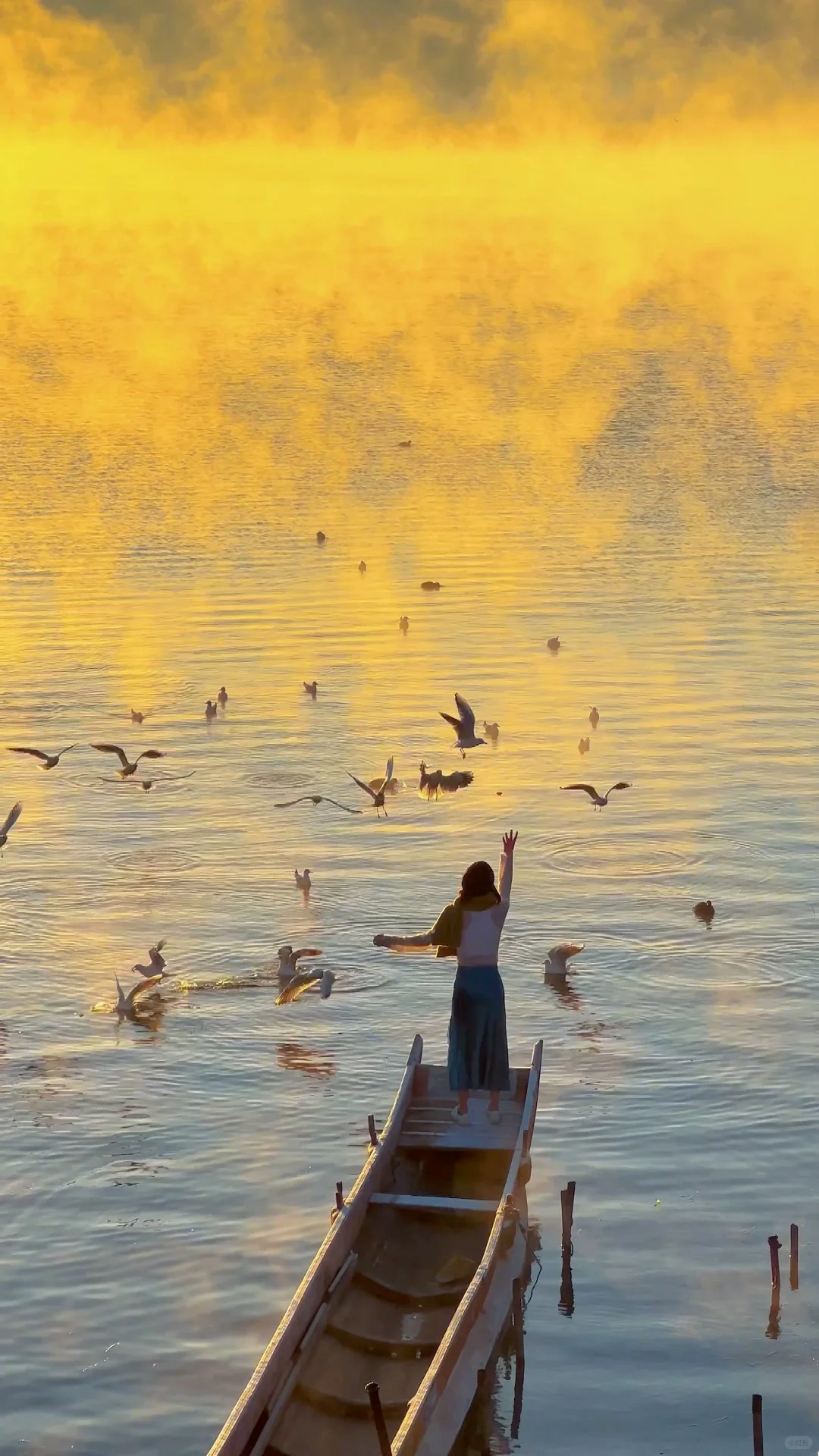 瀘沽湖的日出是一幅壯麗而溫柔的畫卷,吸引了無數遊客前來觀賞。早上6:30到7:00是觀看日出的最佳時段(僅做推薦,自願早起看日出) 瀘沽湖的日出是一幅壯麗而溫柔的畫卷,吸引了無數遊客前來觀賞。早上6:30到7:00是觀看日出的最佳時段(僅做推薦,自願早起看日出)