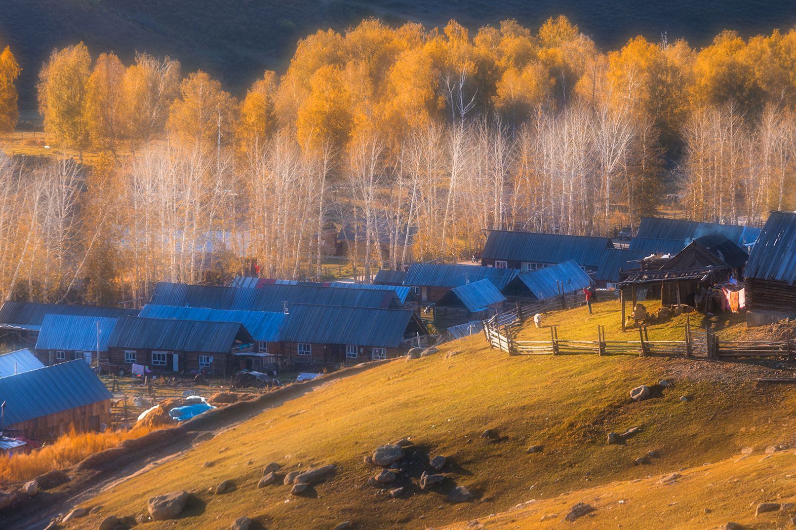 Autumn Charm in Altay | 8-Day 7-Night Private Tour of Northern Xinjiang in Golden Autumn