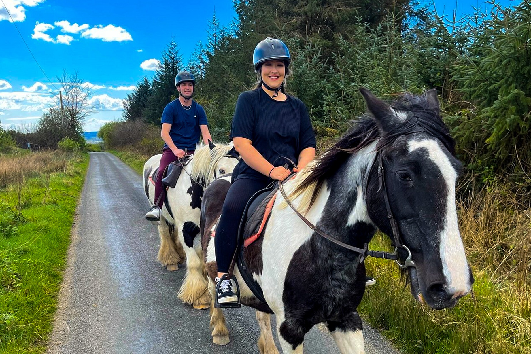 Horse Riding Experience in Cape Town