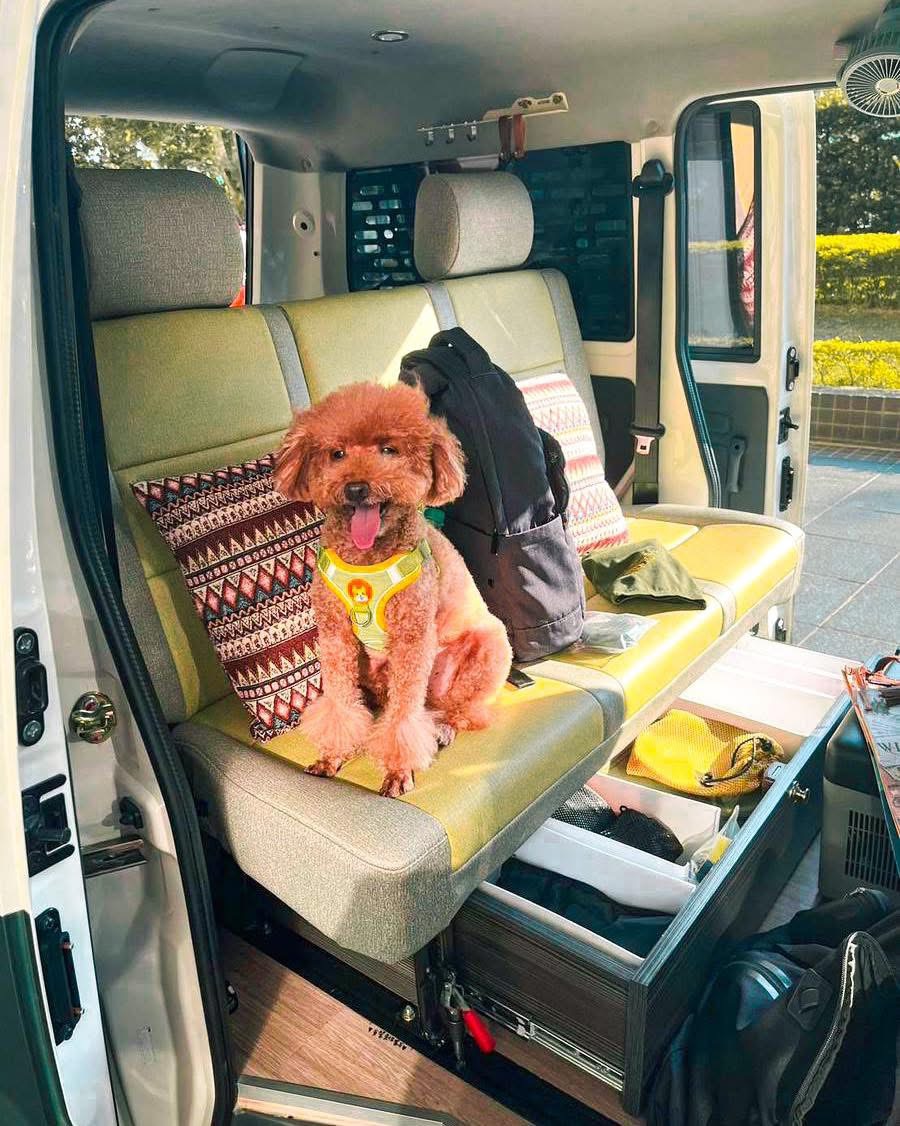 我們全車型幾乎都提供寵物友善,請放心,乾淨衛生是我們也追求的第一要件!我們自己敢睡在裡面,才可以讓你們來盡情體驗! 我們全車型幾乎都提供寵物友善,請放心,乾淨衛生是我們也追求的第一要件!我們自己敢睡在裡面,才可以讓你們來盡情體驗!