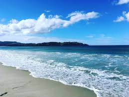 [Roundtrip from Auckland] Luxury Beach + Countryside Day Tour in North Auckland [Experience a Local’s Leisure Weekend~]