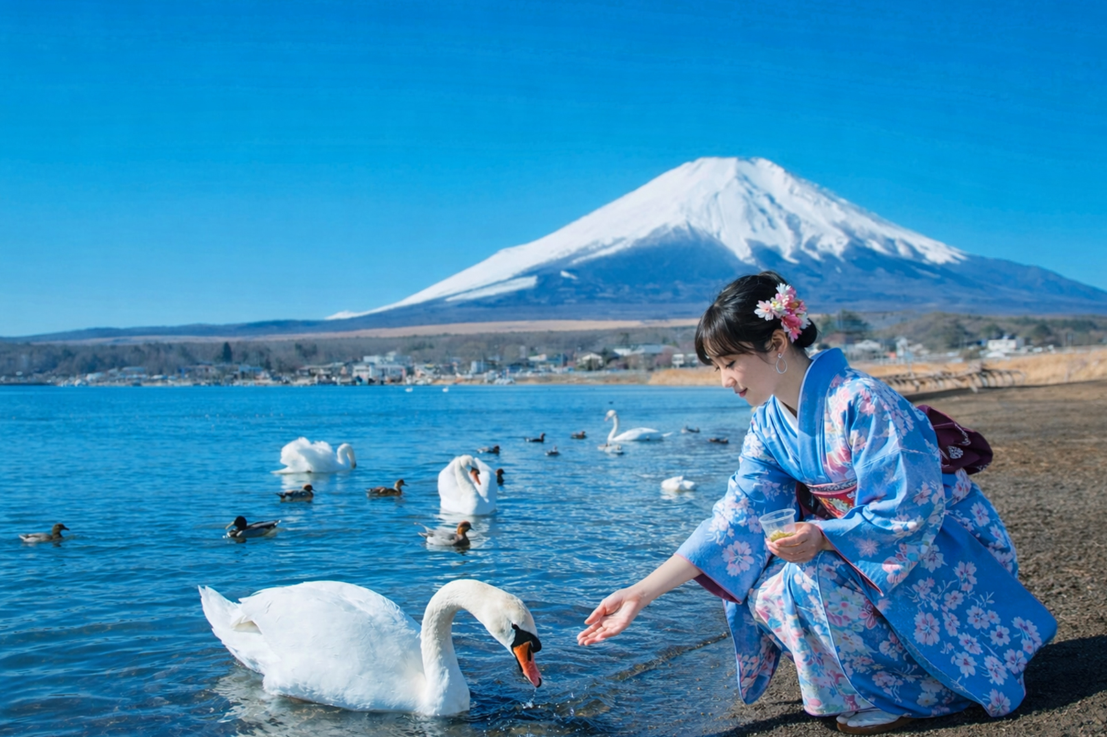 山中湖喂天鵝：山中湖是富士五湖之一，位於富士山腳下，湖畔風光優美，是觀賞和餵食天鵝的熱門地點。‌是富士山全景觀景地點之一，湖光山色頗為壯觀。