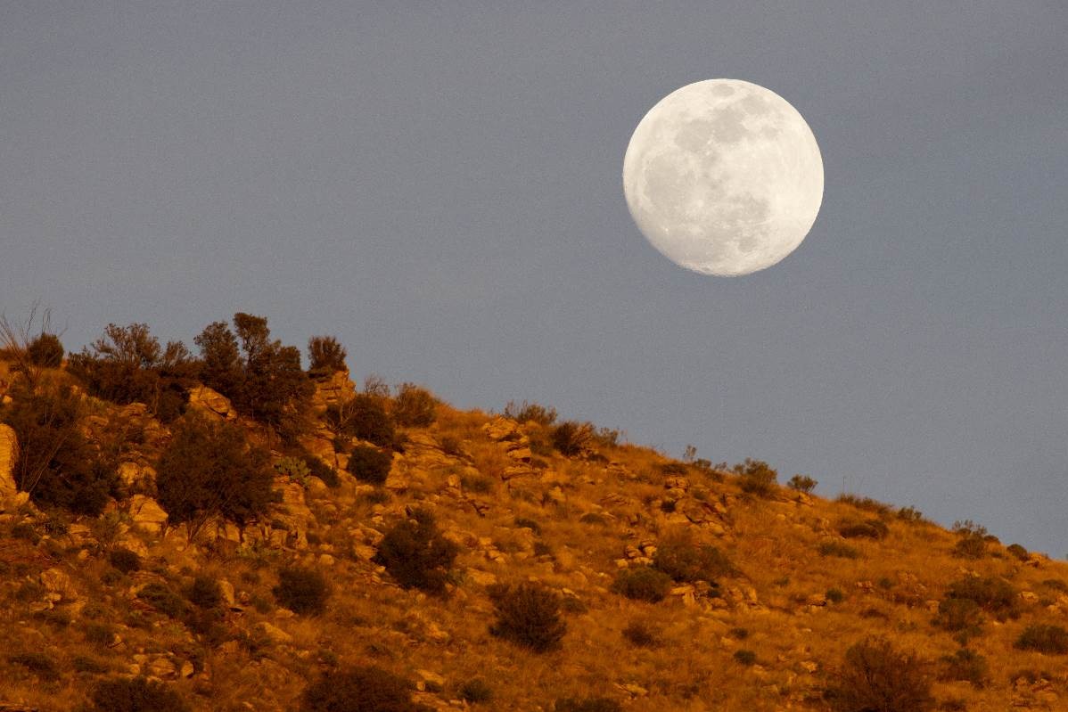 Experience diverse ecosystems and stunning views as you ascend Mt. Lemmon’s heights