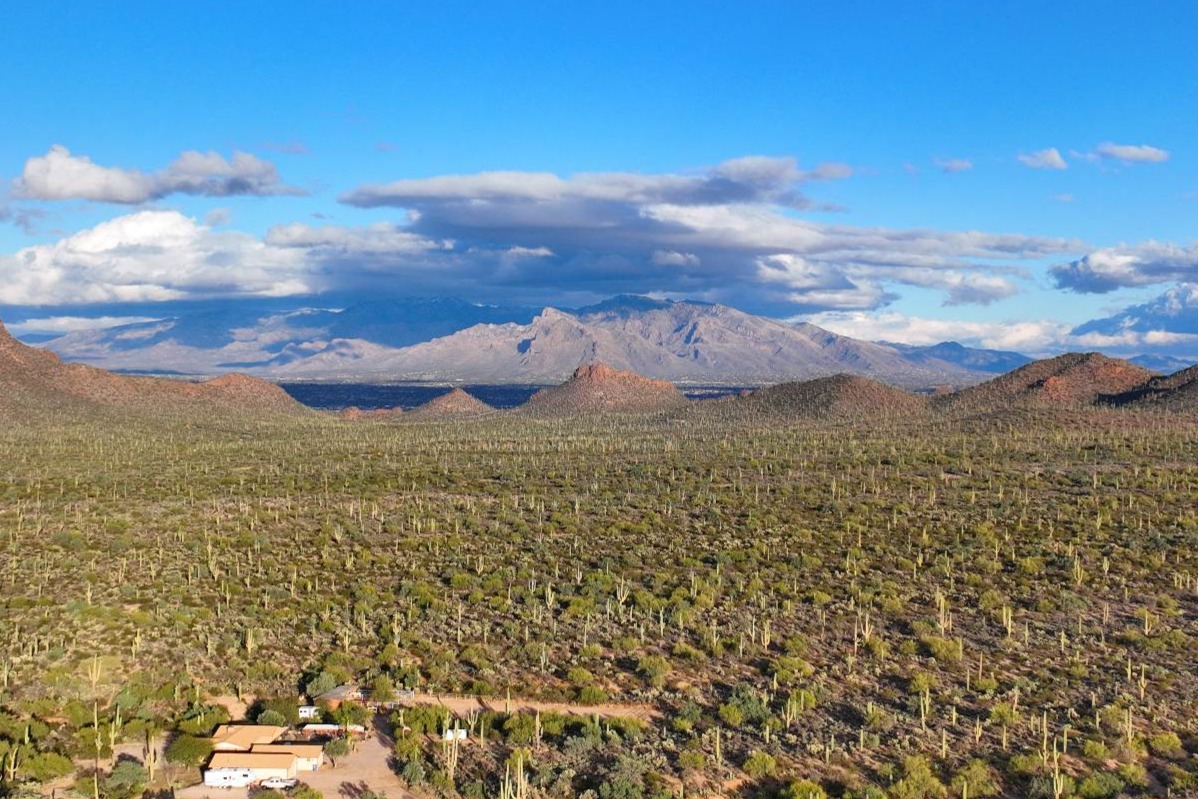 Immerse yourself in the ever-changing scenery of Mt. Lemmon’s scenic drive