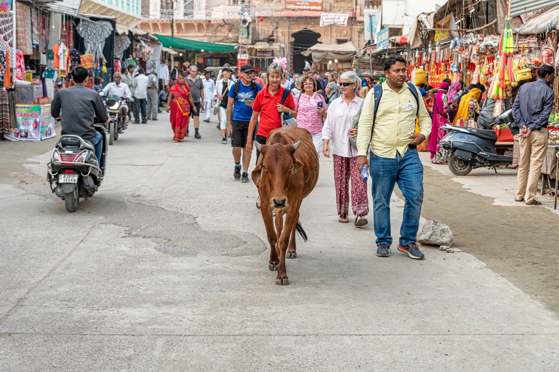 Tourist are walking Pushkar street with our Guide.