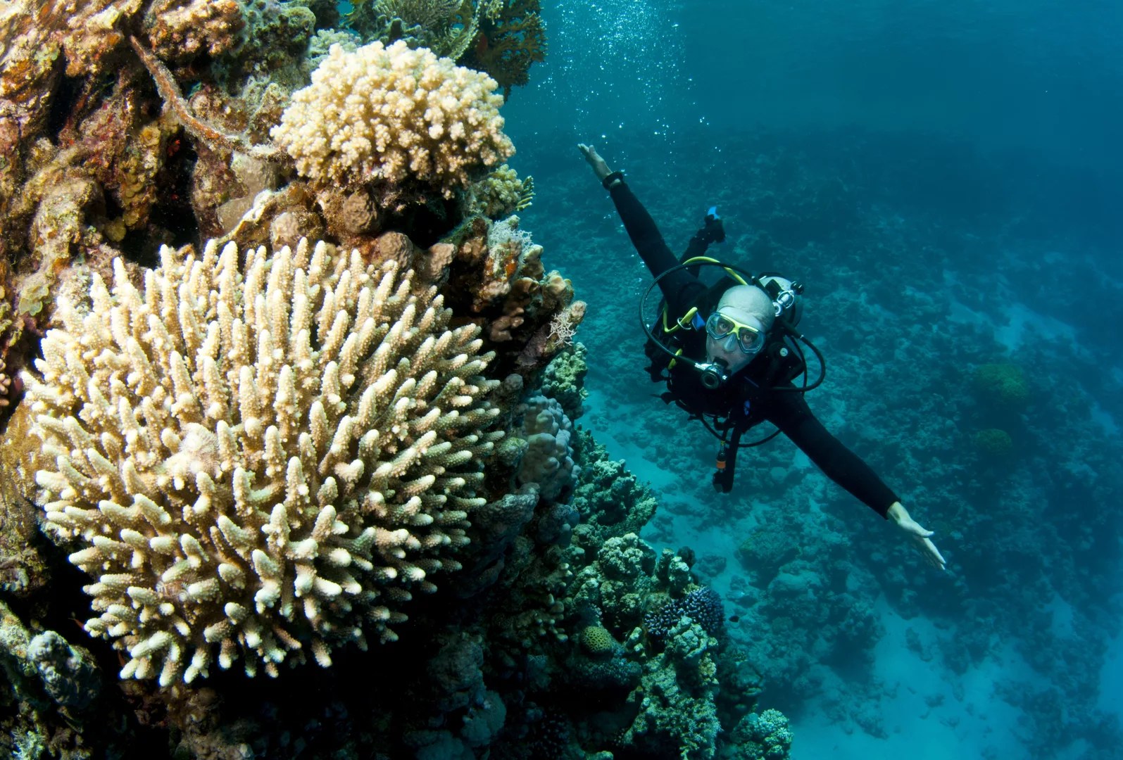 普吉島 PADI 五星潛水中心高氧空氣潛水員課程