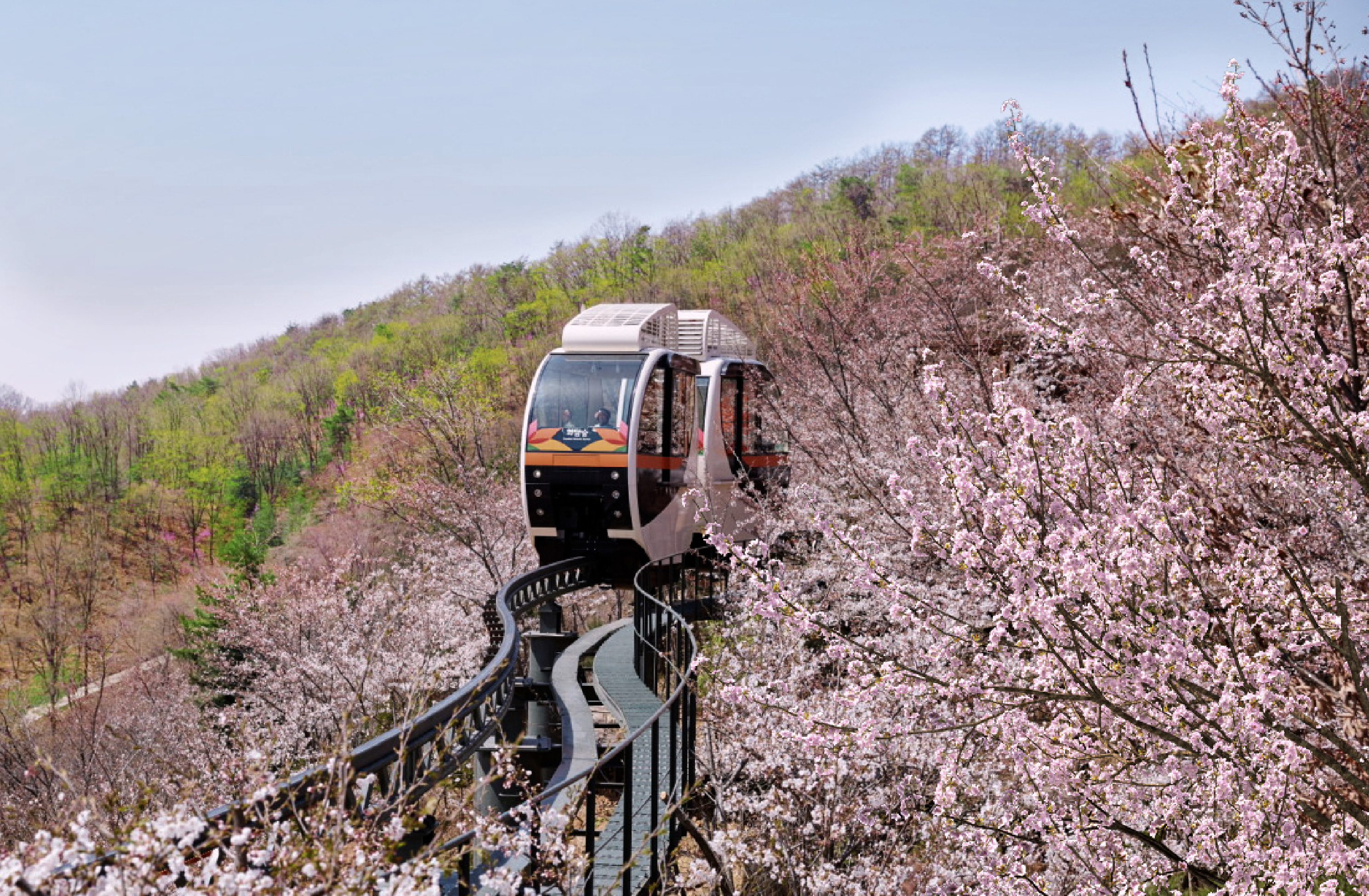 和談林植物園 & 南漢山城 & 民俗村一日遊