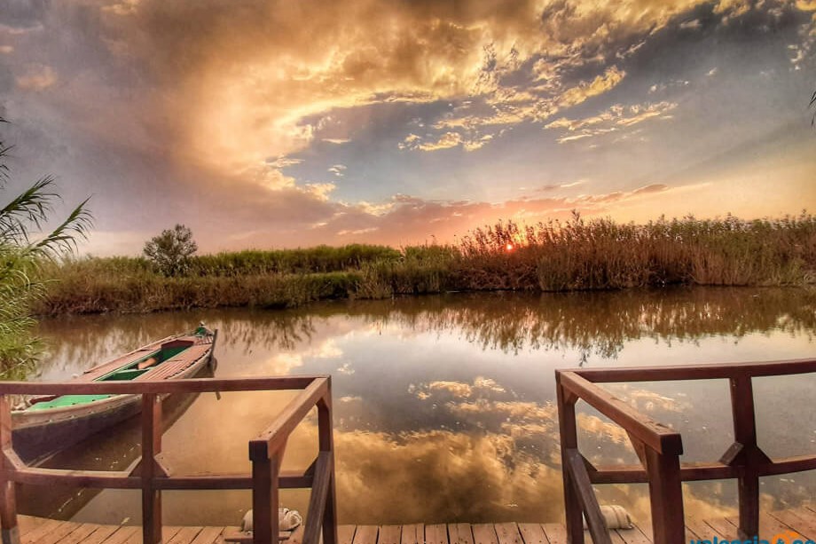 Albufera Natural Park Day Tour from Valencia