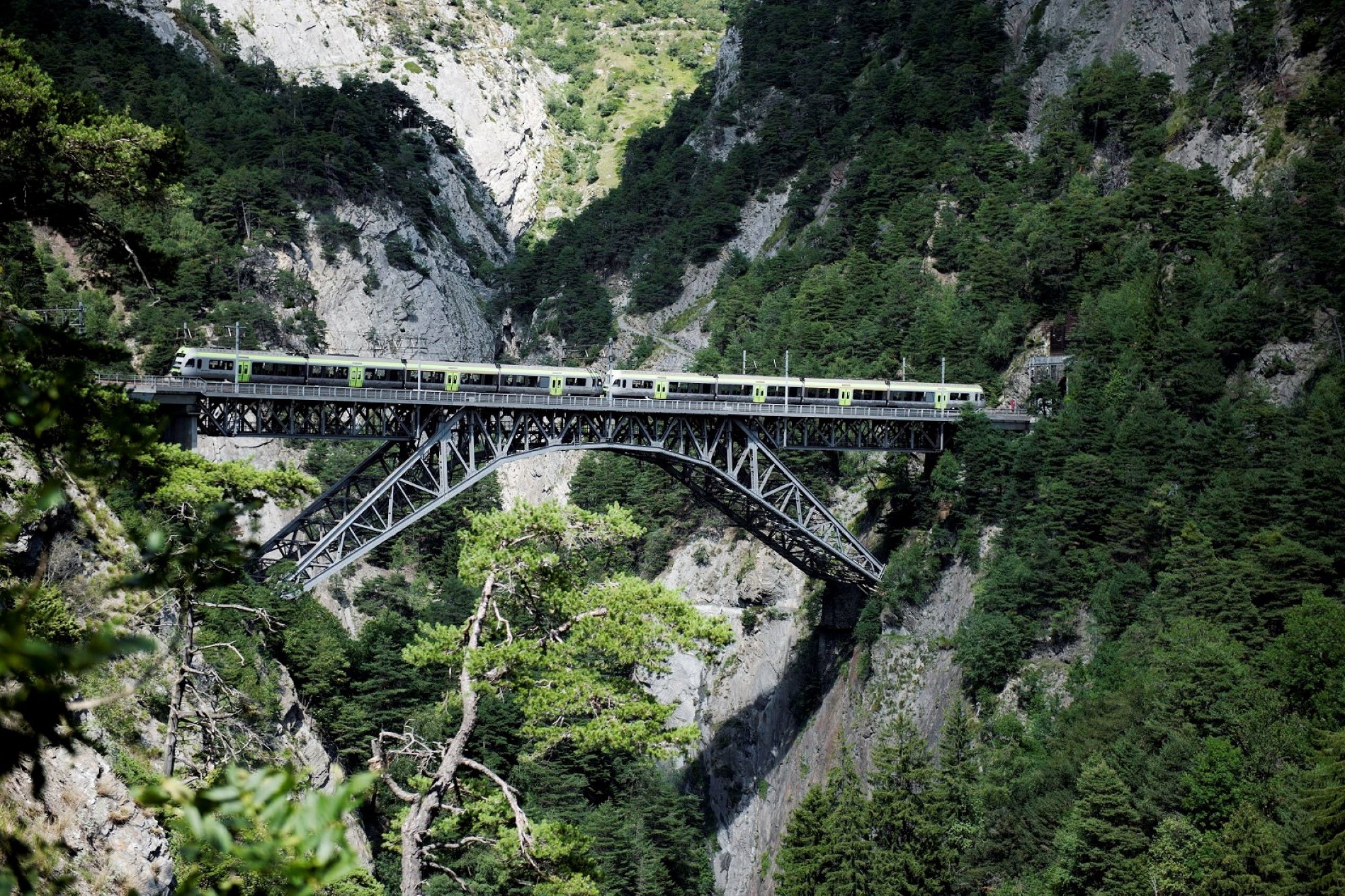 インターラーケン・スイスアルプス グリーントレイン 日帰りツアー（ミラノ発）