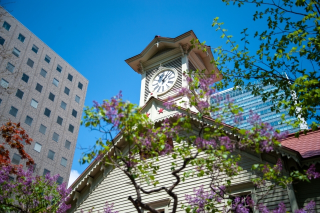 Sapporo│Muslim-friendly walking tour (with Wagyu Halal Ramen)