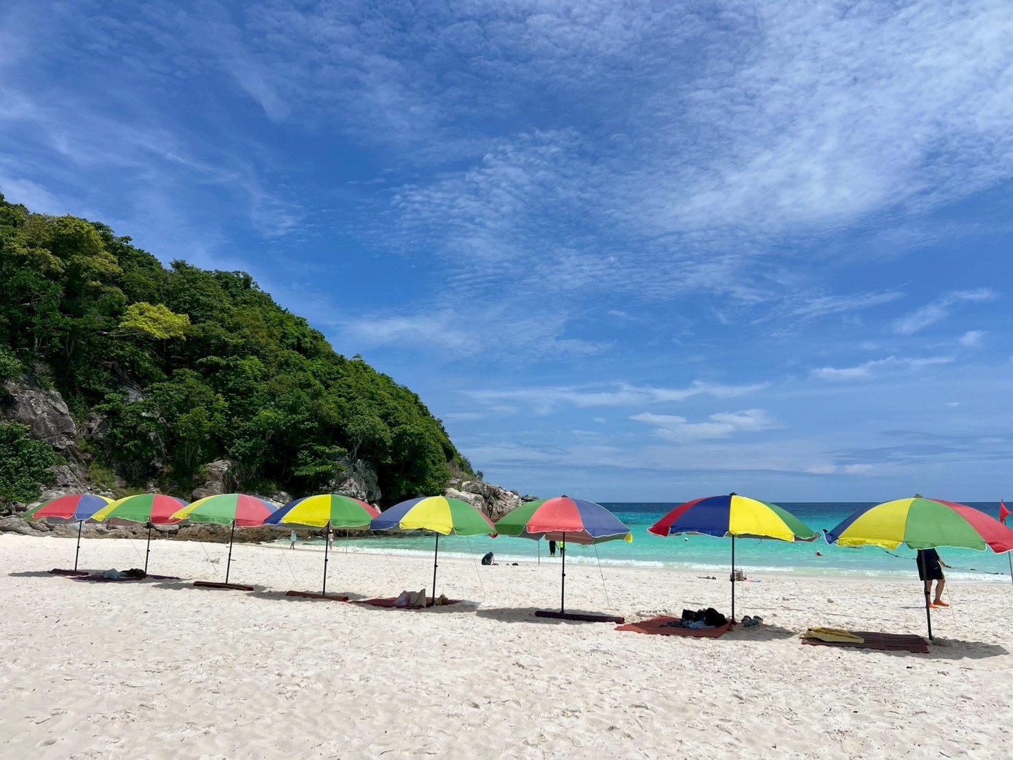 全日釣魚樂，一路輕鬆自在