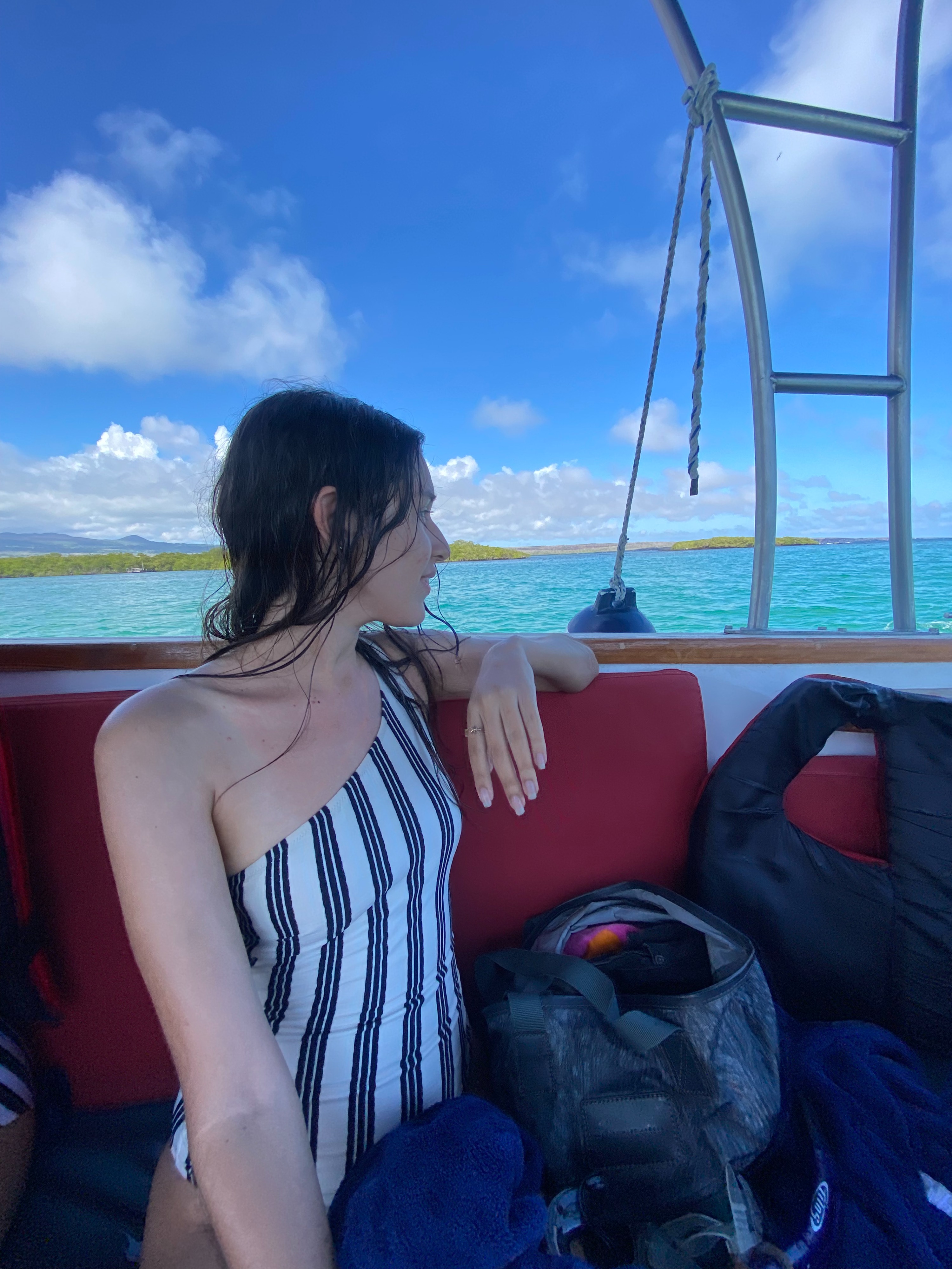 Bay Tour in Santa Cruz 