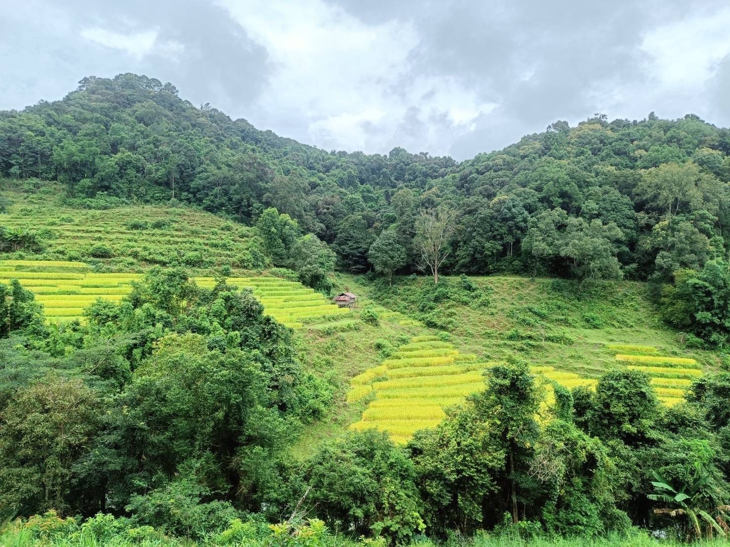 One Day Trekking Pha Dok Siew Nature Trail & Mae Ya Waterfall