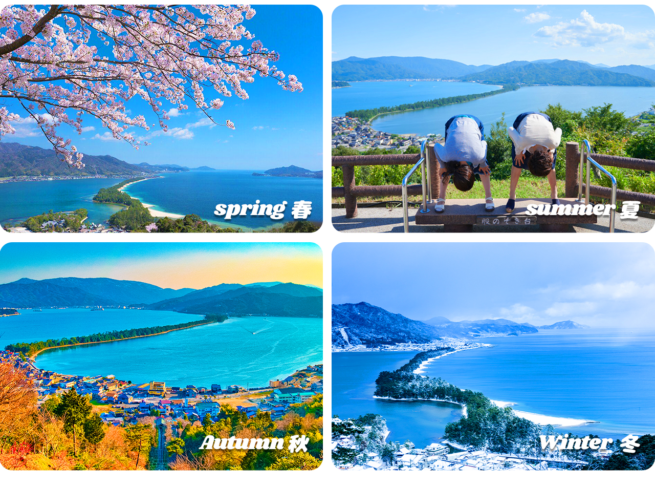 登臨觀景臺俯瞰，全長約3.6公里的松林與藍色海灣交相輝映，景色四季皆美