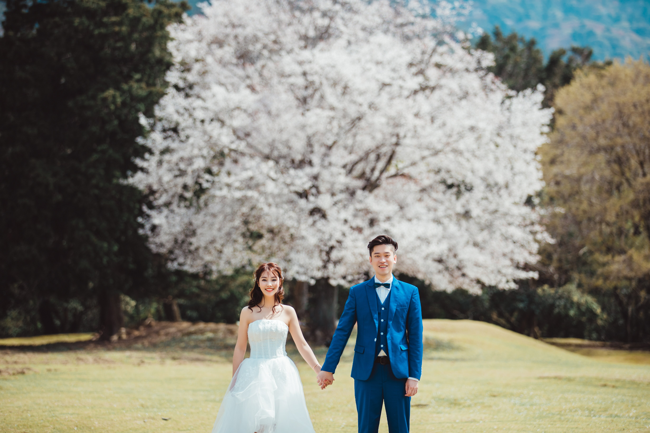 嵐山(竹林&渡月橋) - 京都的亮點組合:神秘的竹林小徑和著名的渡月木橋,可欣賞河流和山景。 春季和秋季尤其美麗。 嵐山(竹林&渡月橋) - 京都的亮點組合:神秘的竹林小徑和著名的渡月木橋,可欣賞河流和山景。 春季和秋季尤其美麗。