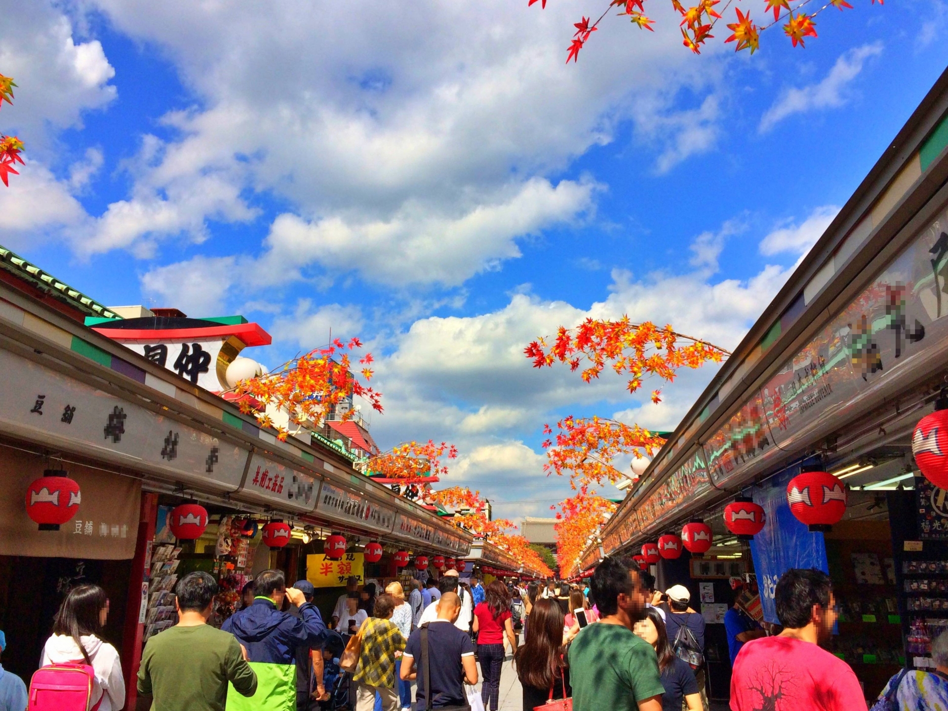 Private Asakusa Cultural Walk & Gourmet Tour in Tokyo