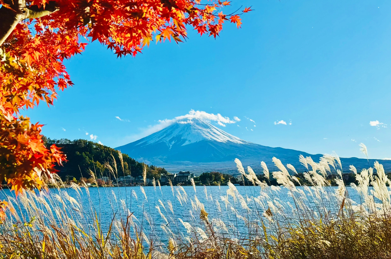 富士山山中湖單車騎行 河口湖纜車 抹茶體驗 網紅景點打卡二日遊｜4~9人精品小團｜東京/新宿出發