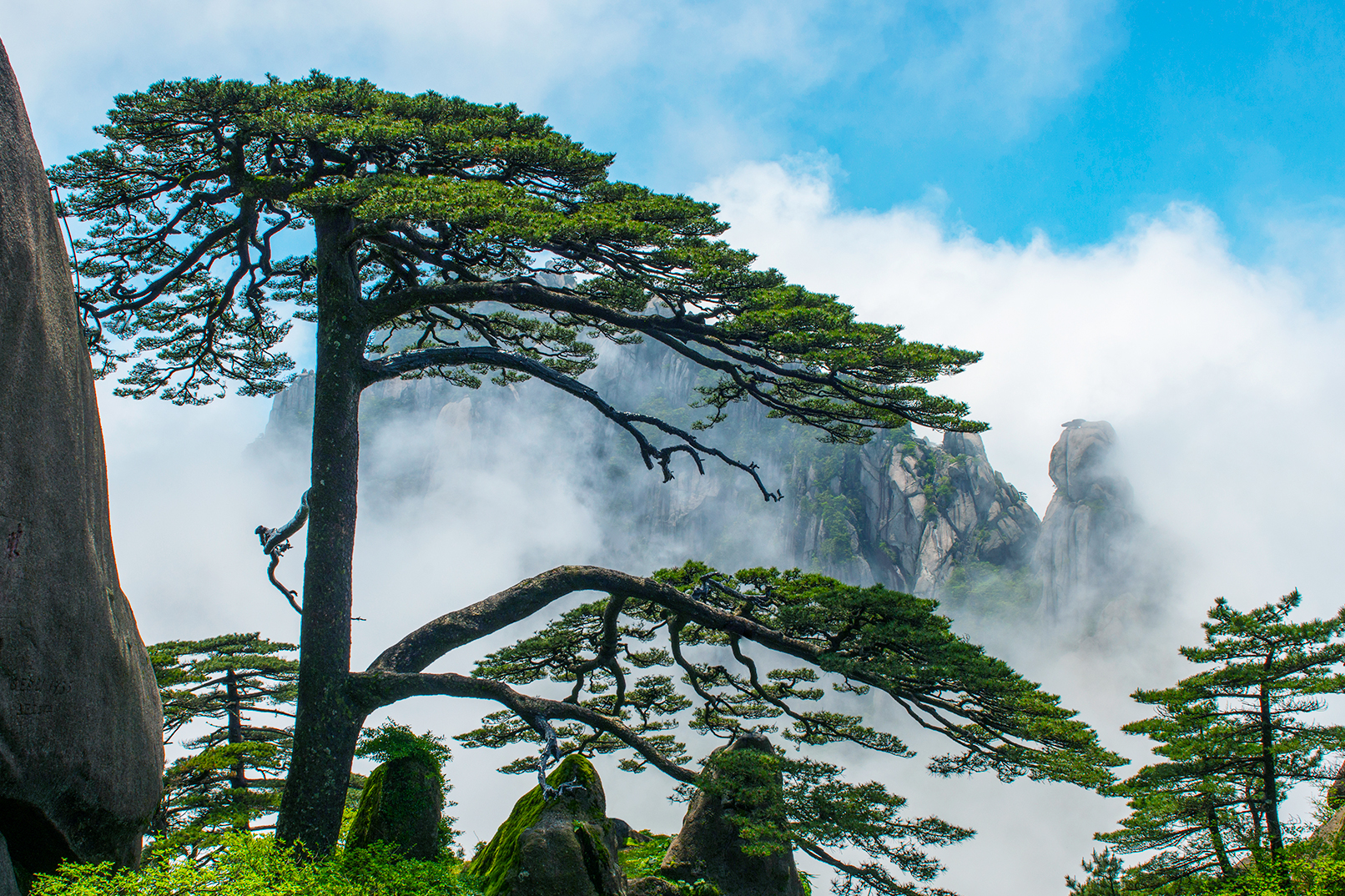 In front of Yuping Tower, the Welcoming Pine interprets the miracle of life with its thousand-year-old twisted figure growing out of rocks. One of its branches slants out across the sky, like a host extending his arms to welcome guests, carving the orient