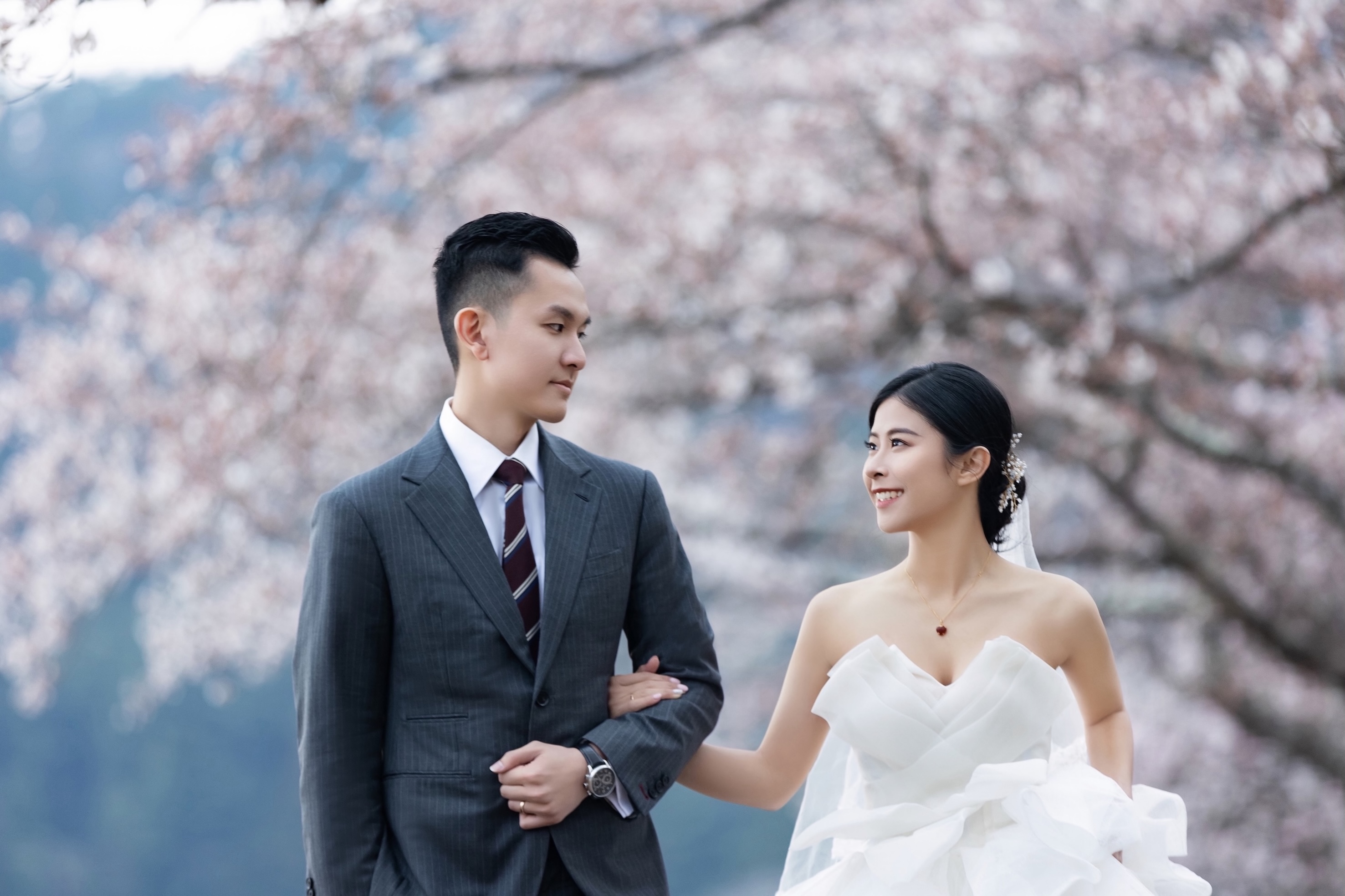 浪漫櫻花季：每年的三月底到四月中旬，想要拍攝櫻花請盡量提前預約