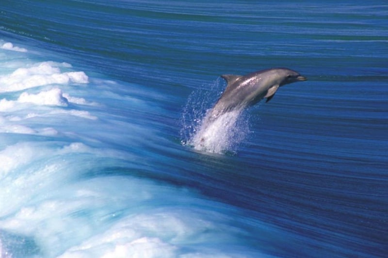 3-Day Coastal Wilderness Tour in Southern Yorke Peninsula