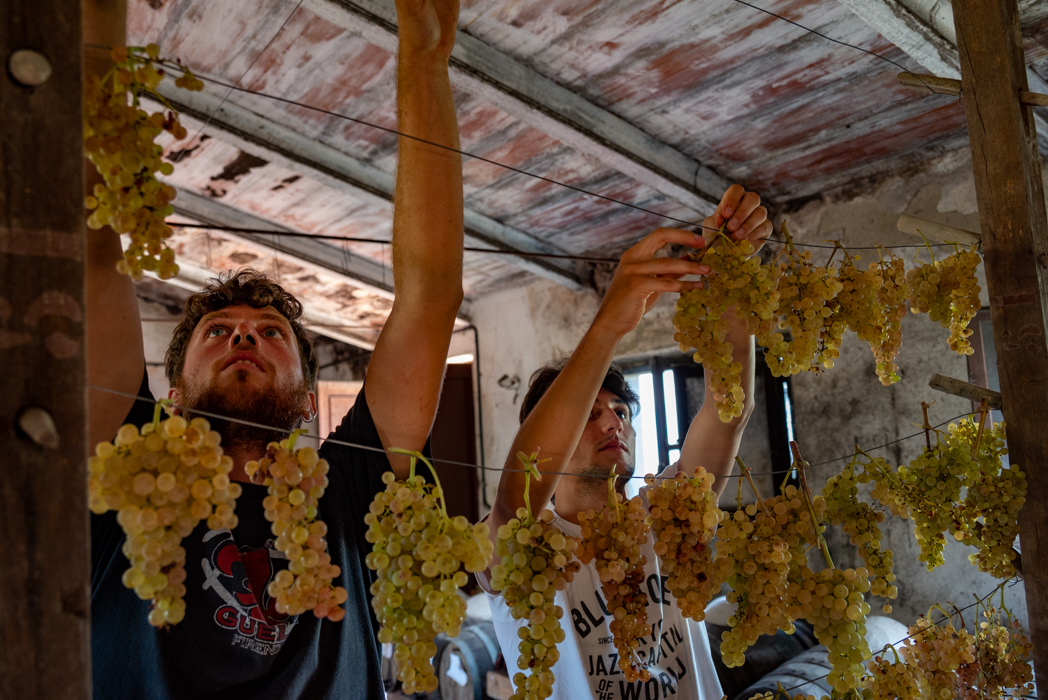 Tuscan Bites &amp; Sips: Discover Tuscany Through Wine
