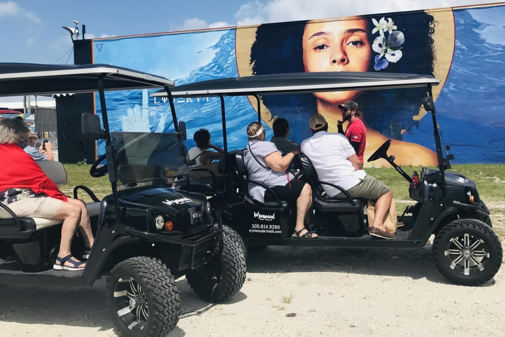 Wynwood Art District 1-Hour Street Art Tour by Golf Cart