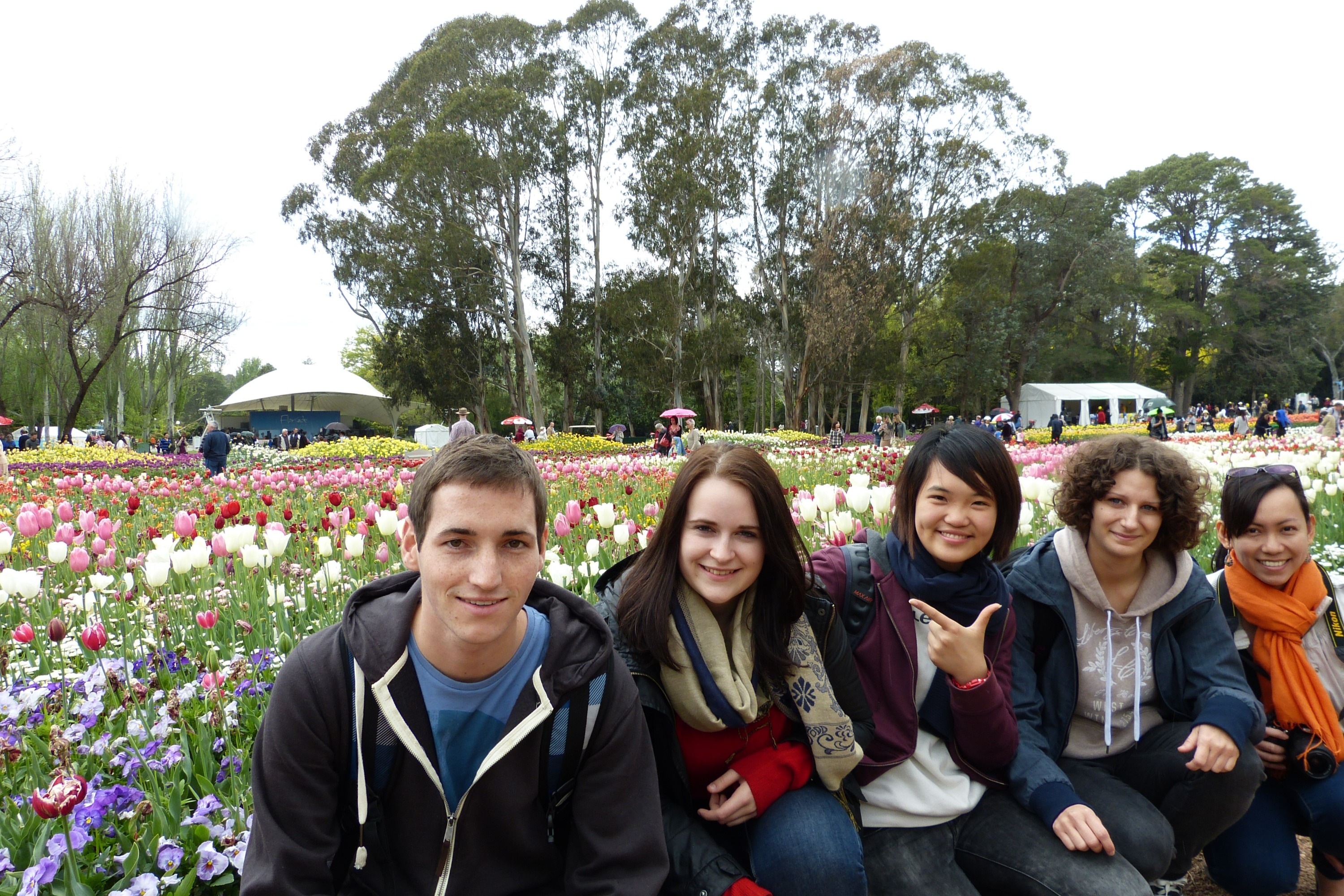 Canberra Colourful Day Bus Tour 