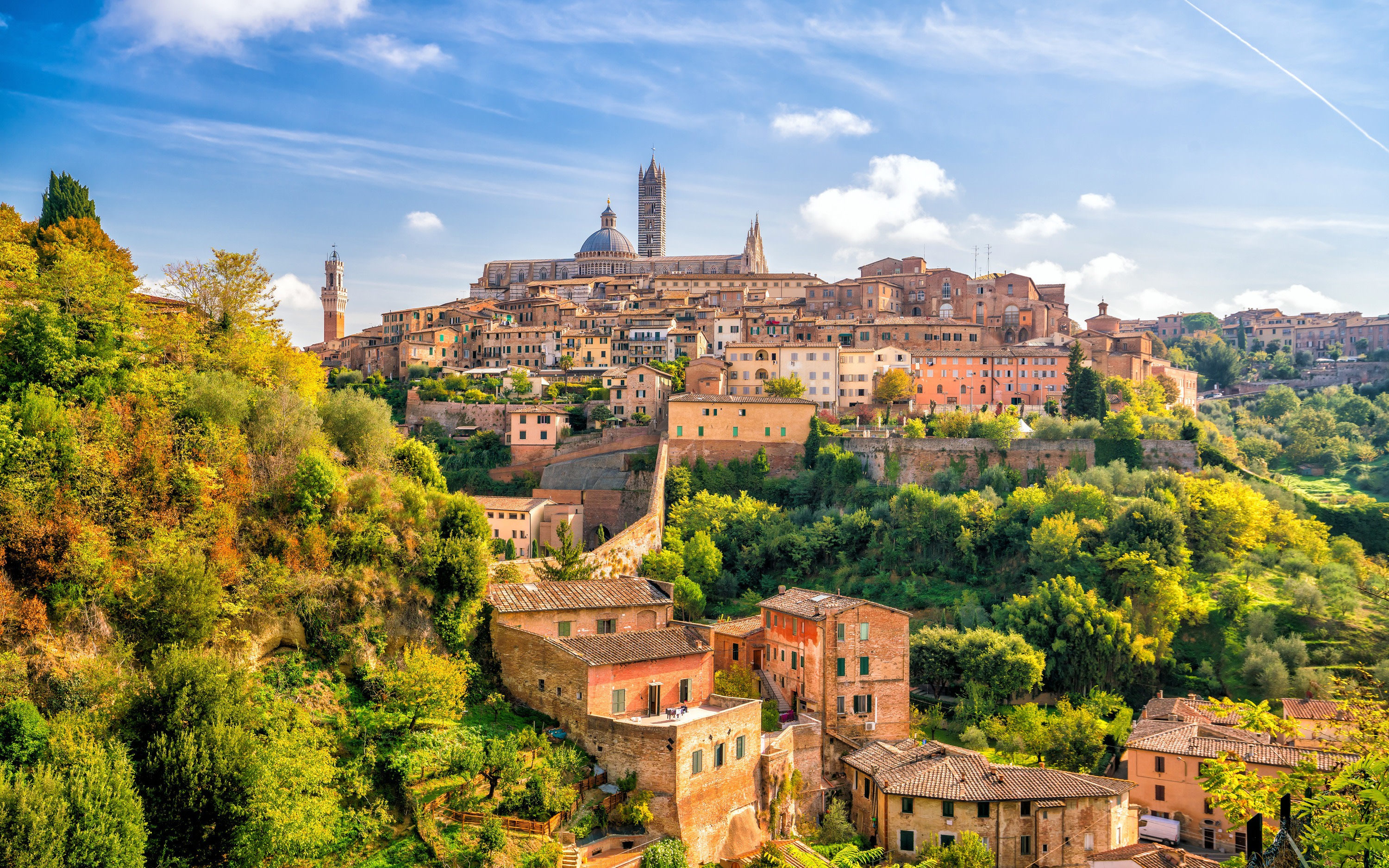 From Siena: Best of Tuscany Wines & Lunch in Montepulciano
