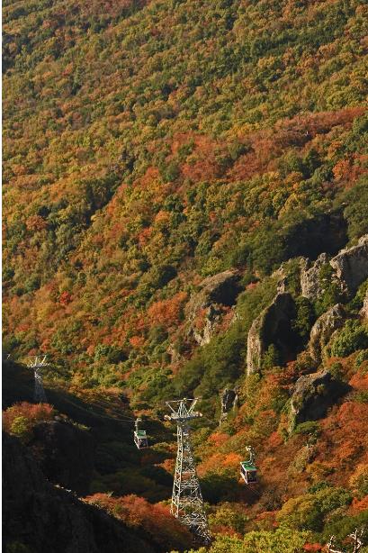 小豆島 / 土莊港出發：人氣觀光景點一日遊（香川縣）