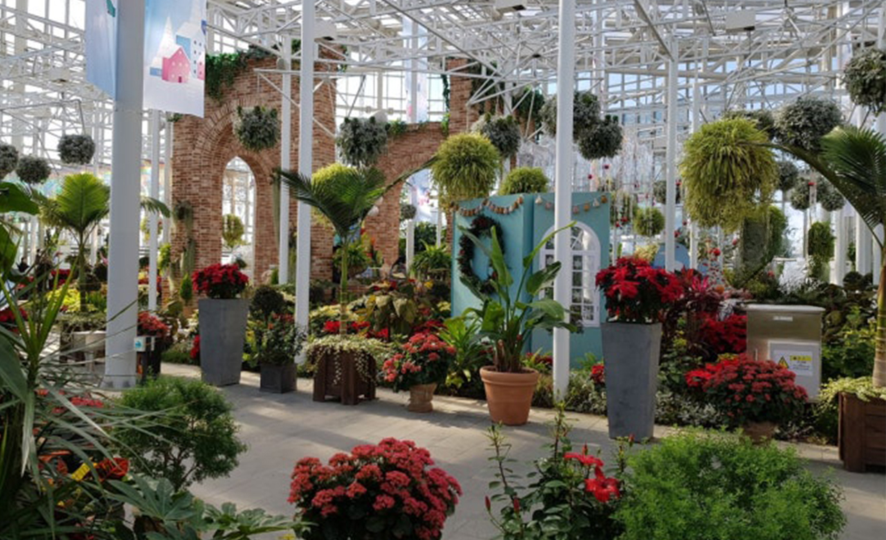 非常適合家庭、情侶或獨自旅行者。