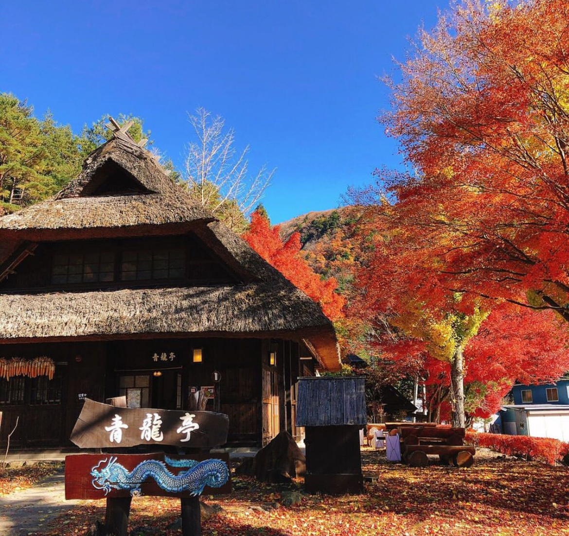 富士山四大名勝景點一日遊（東京出發)