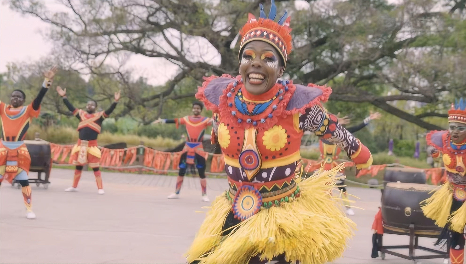 野性的動物世界 野性的動物世界