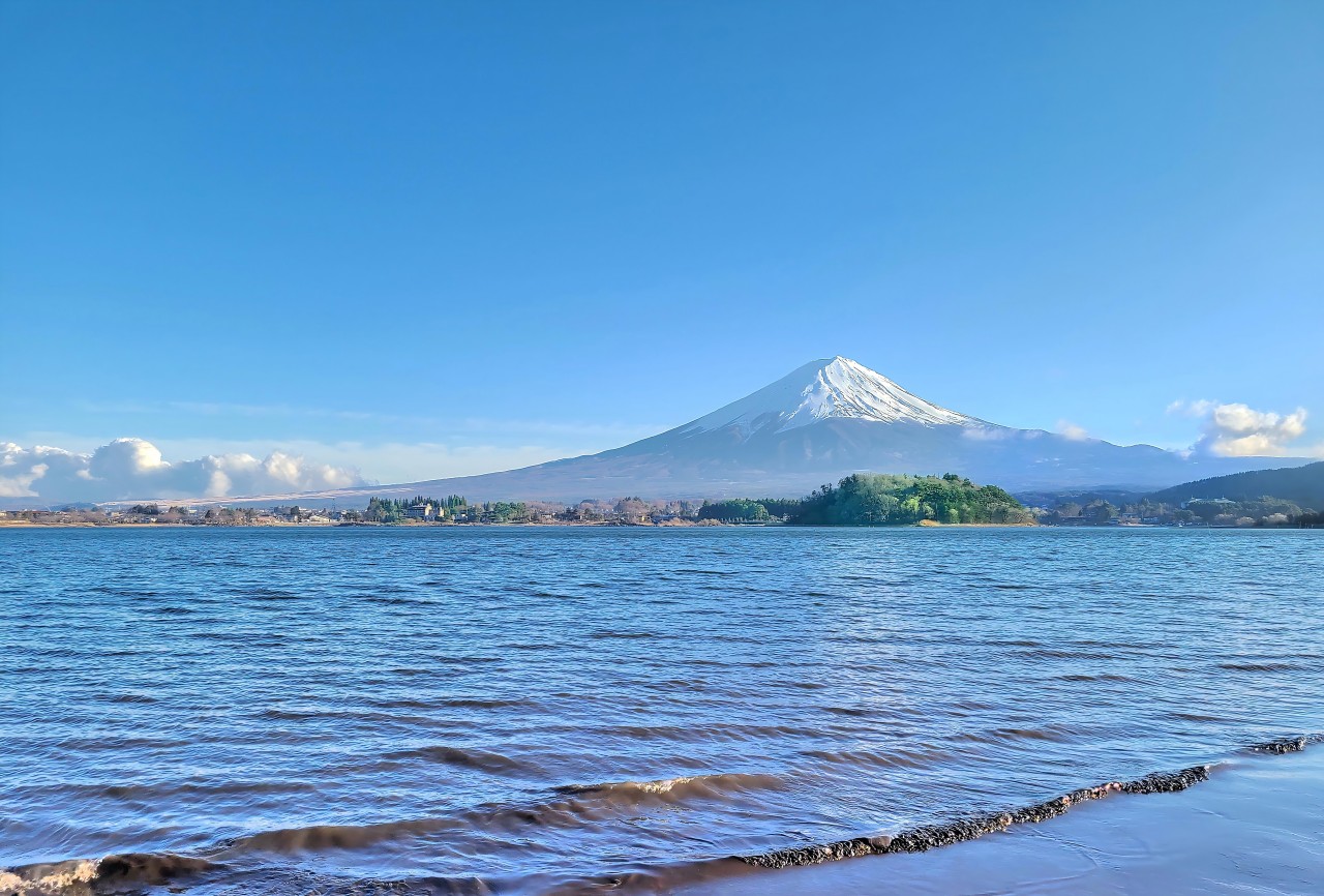 富士山壯麗美景或芝櫻節浪漫花海一日遊 （東京出發）