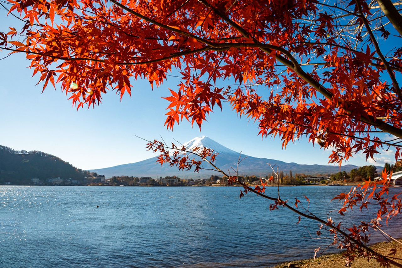 紅葉染湖，山風溫柔。一季秋光，寫給河口湖的溫柔情書。