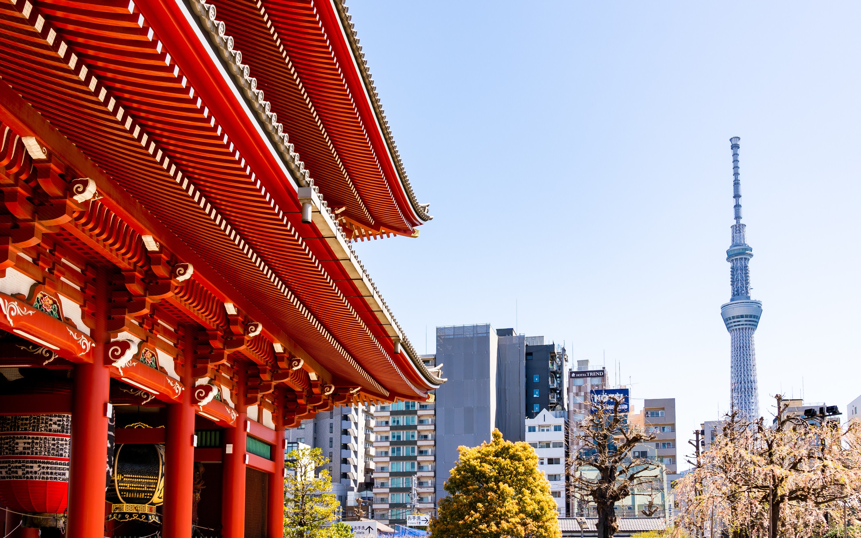 Tokyo Asakusa & Skytree Half-Day Immersive Experience