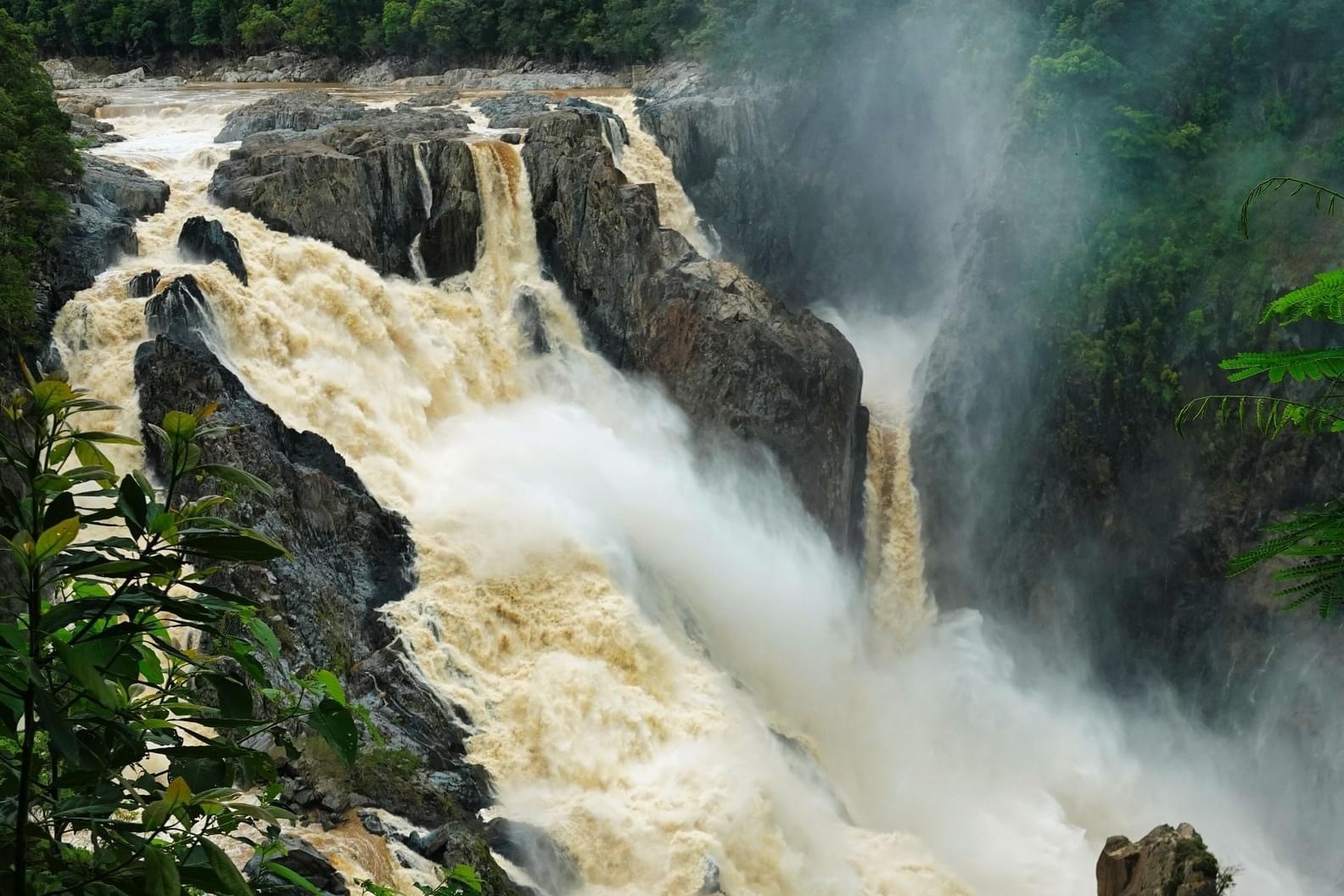 Taste of the Tablelands Cairns Full day Tour