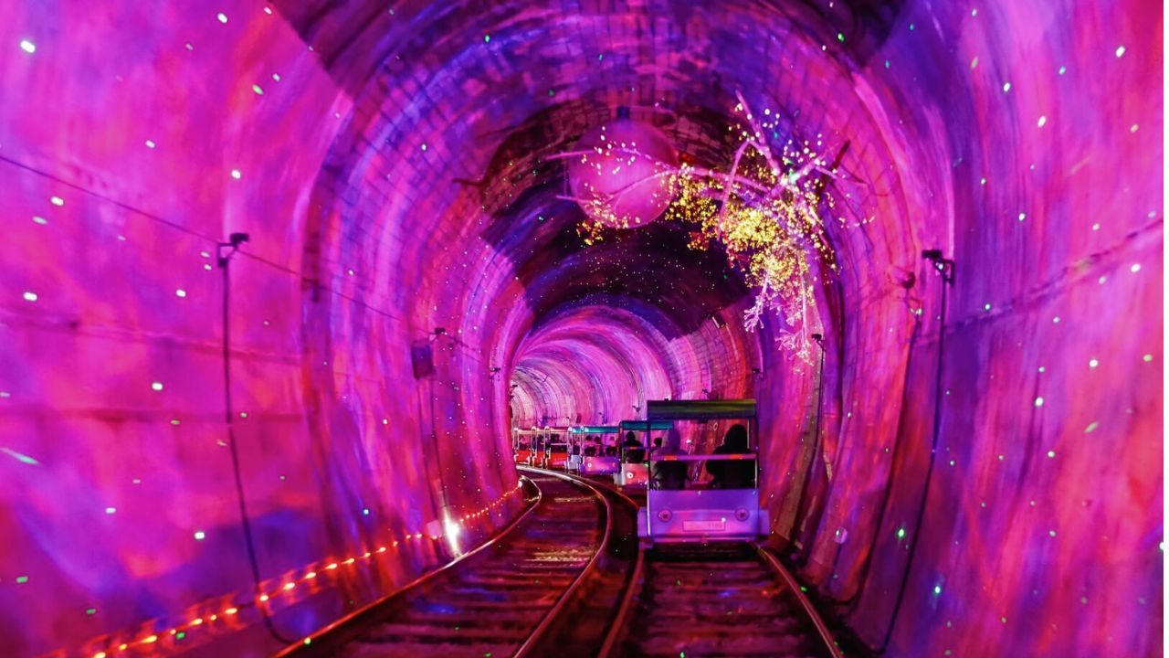 羊駝牧場 / 南怡島 / 江村鐵路自行車 / 晨靜樹木園 / 樂高樂園 /  秋海棠鳥園