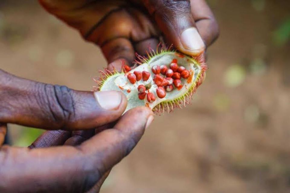  Zanzibar: Walking Spice Tours with Guide