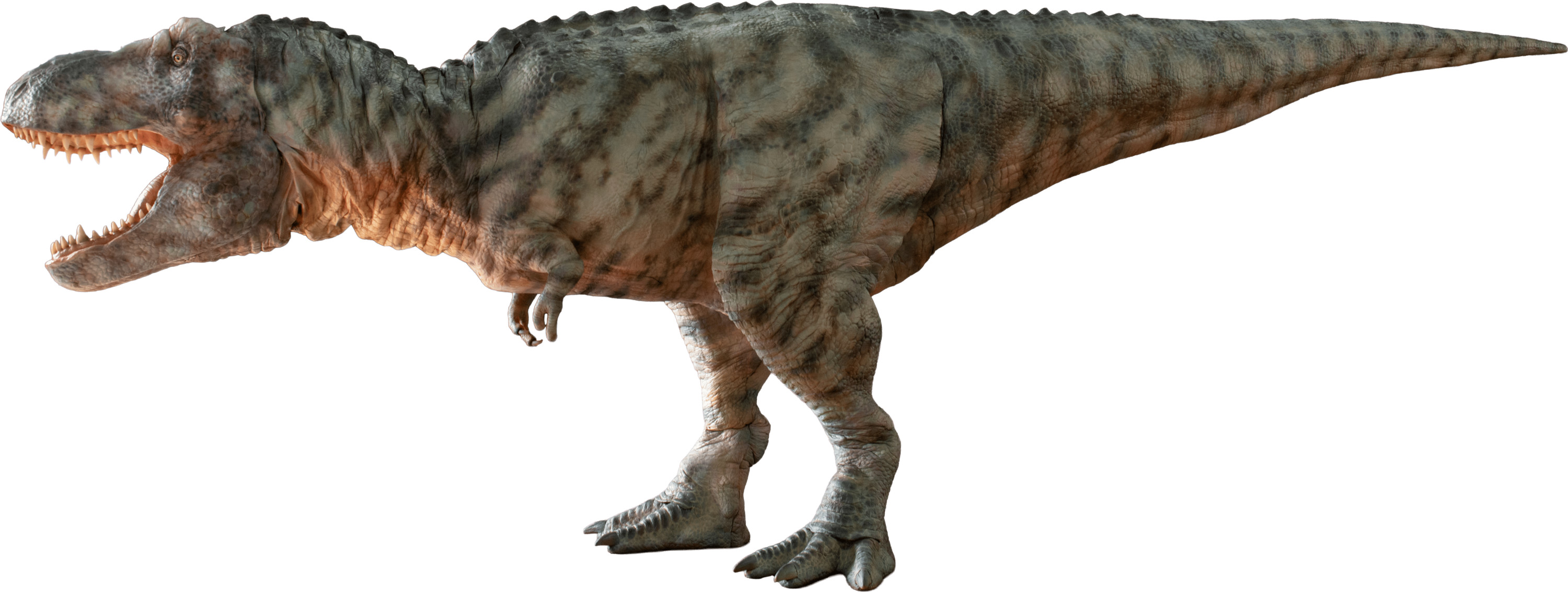 DINO-A-LIVE DINO SAFARI 2026