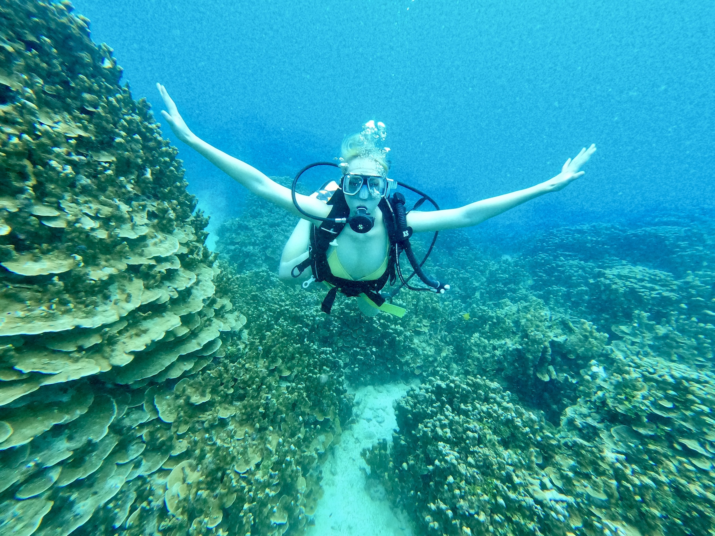 Experience Scuba Diving