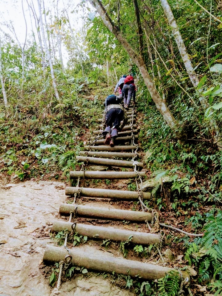 新竹：最美賞楓古道｜霞喀羅古道2天1夜登山露營