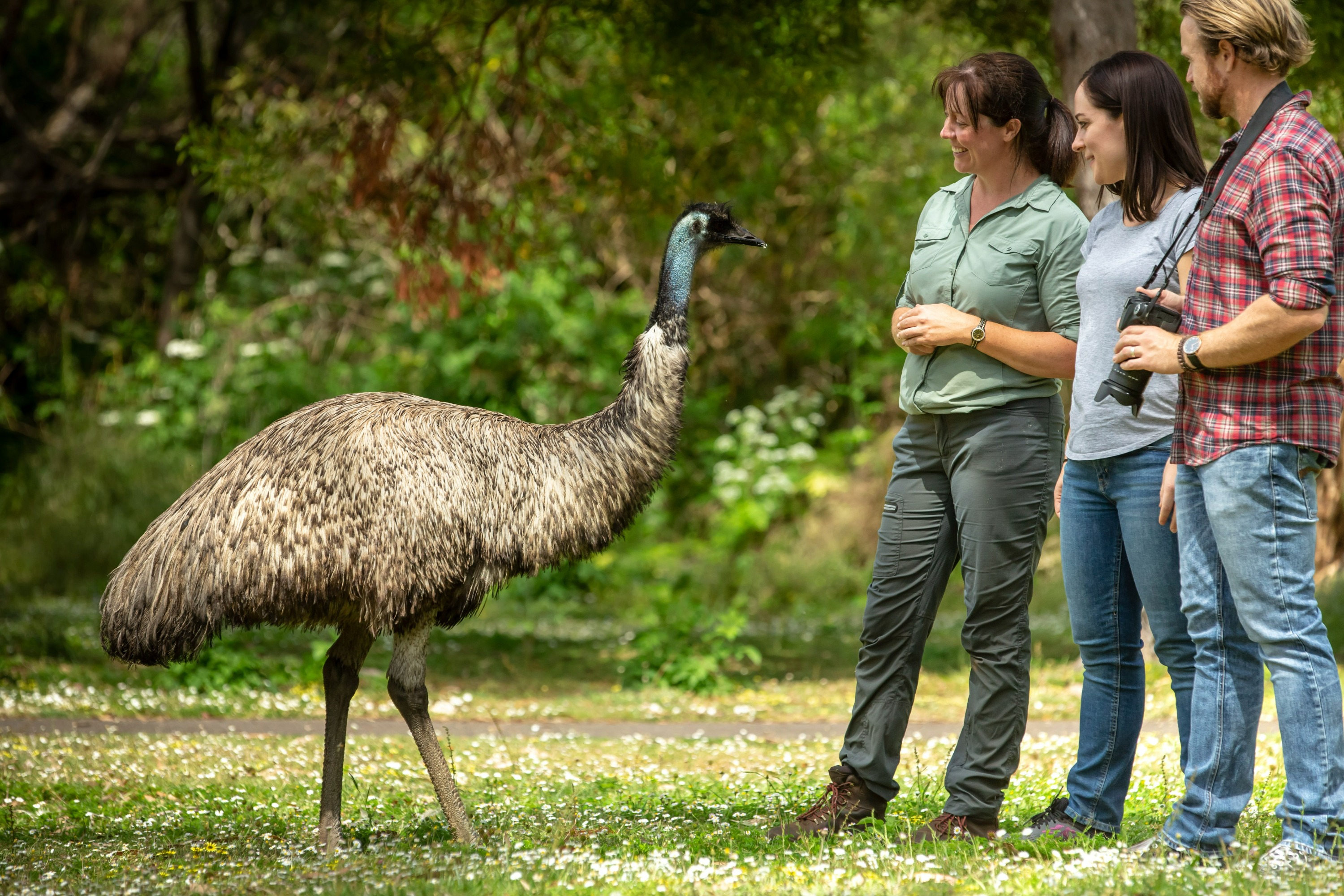 2 Day Great Ocean Road Tour from Melbourne to Adelaide