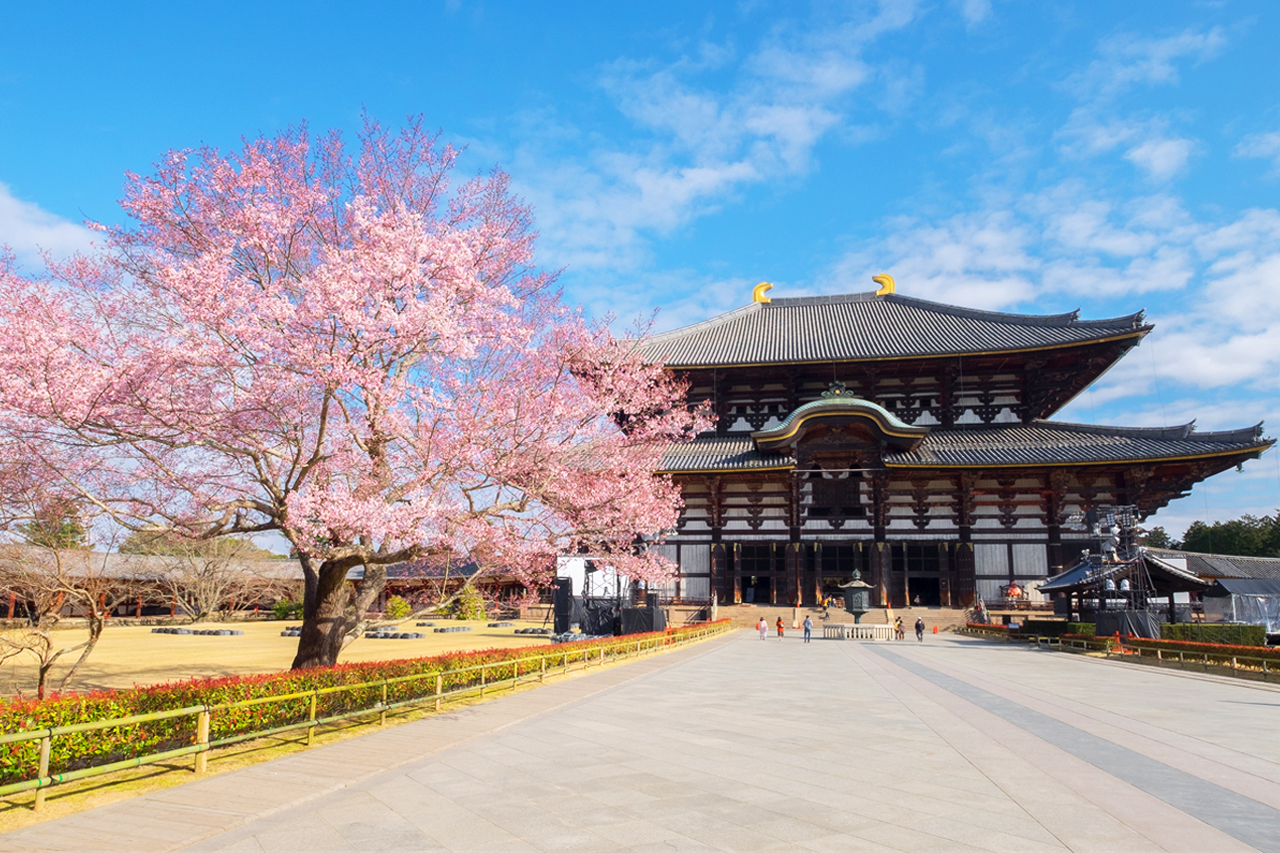 古都文化巡禮之旅：奈良東大寺, 京都伏見稻荷大社, 千本鳥居, 京都天龍寺, 世界文化遺產（大阪發車 | 京都/大阪下車）